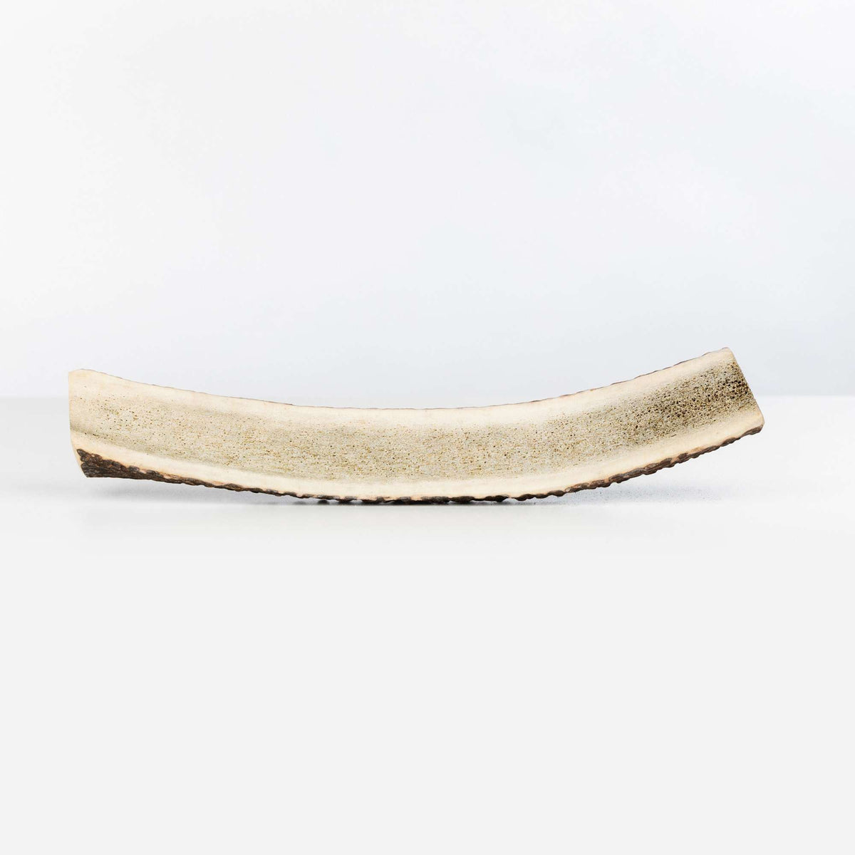 Primal Stag Antler Dog Chew