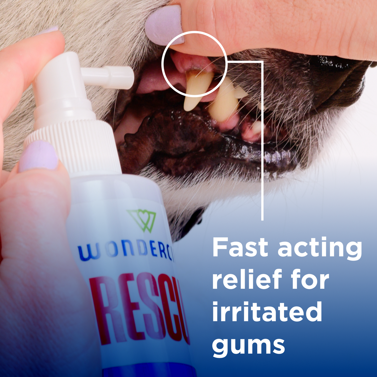 Wondercide Rescue Oral Spray for Dogs & Cats