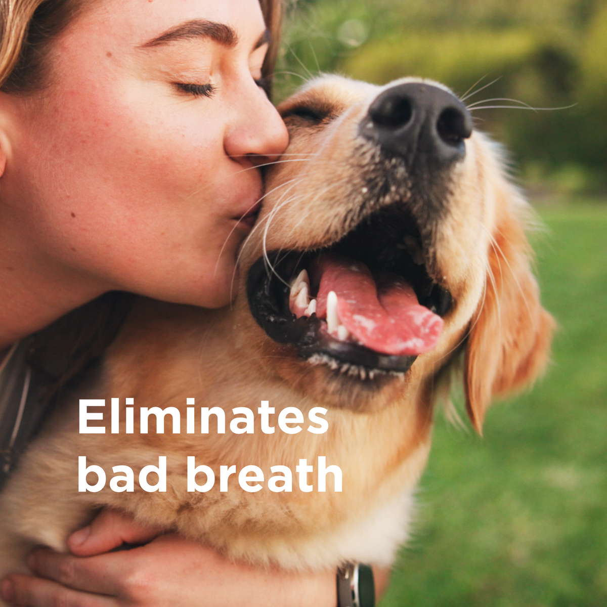 Wondercide Rescue Oral Spray for Dogs & Cats