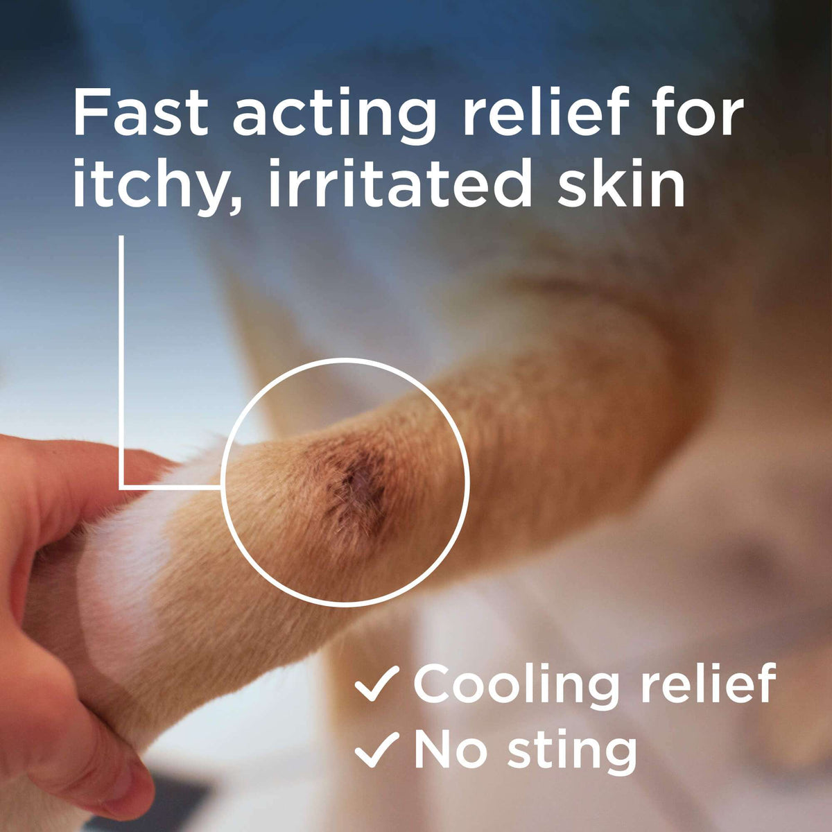 Wondercide Rescue Skin Spray for Dogs & Cats