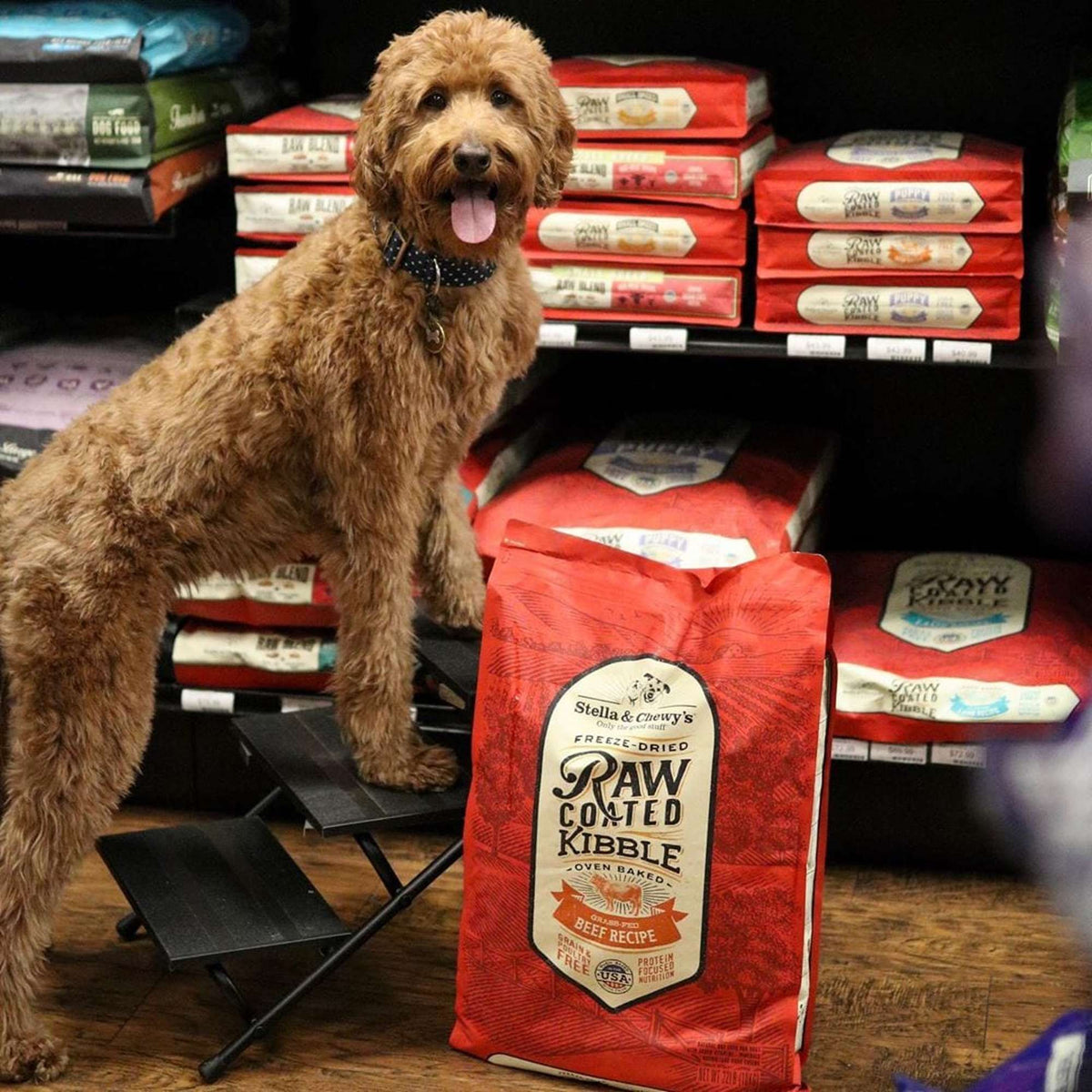 Stella &amp; Chewy&#39;s Kibble Raw Coated Beef Dog Food