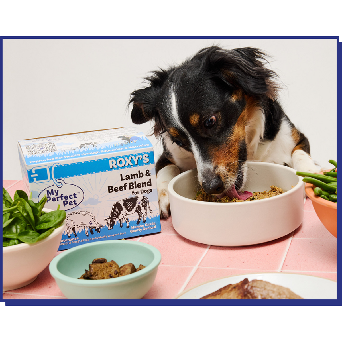 My Perfect Pet Roxy&#39;s Lamb &amp; Beef Blend Gently Cooked Grain Free Frozen Dog Food