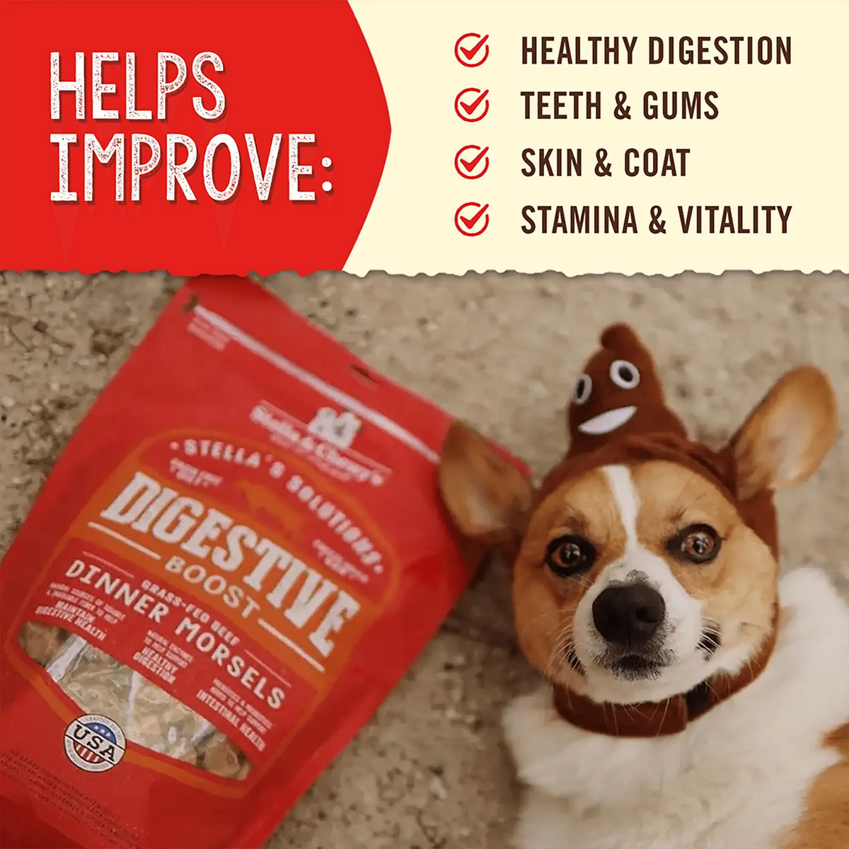 Stella &amp; Chewy&#39;s Solutions Freeze-Dried Raw Digestive Boost Beef Dog Food
