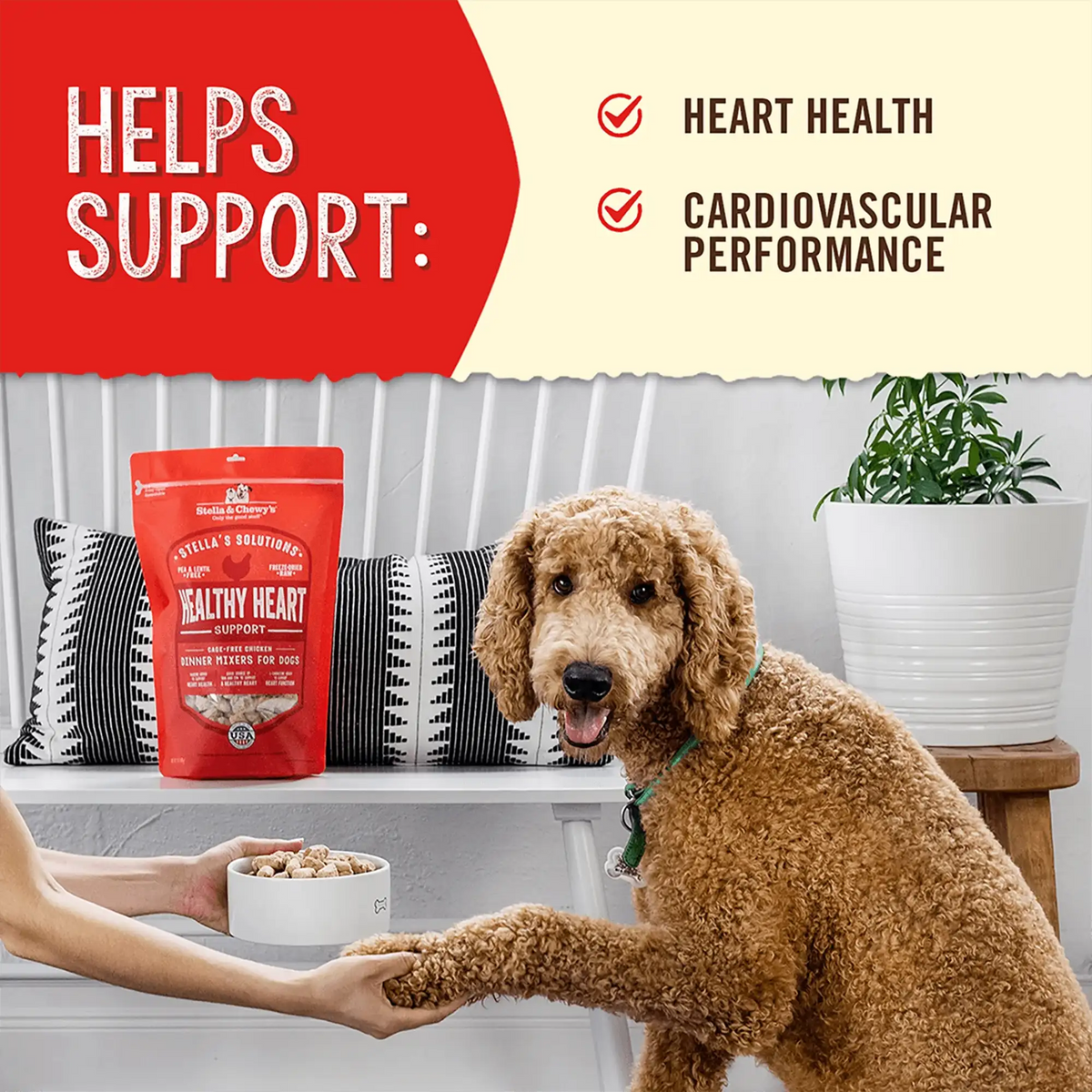 Stella &amp; Chewy&#39;s Freeze-Dried Raw Stella&#39;s Solutions Healthy Heart Chicken Dog Food Topper