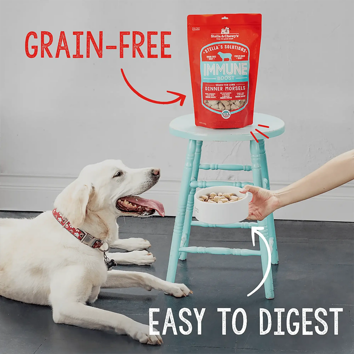 Stella &amp; Chewy&#39;s Freeze-Dried Raw Stella&#39;s Solutions Immune Boost Lamb Dog Food or Topper