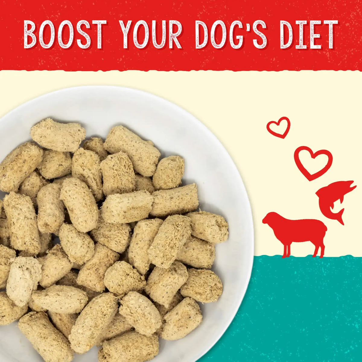 Stella &amp; Chewy&#39;s Solutions Freeze-Dried Raw Skin &amp; Coat Lamb &amp; Salmon Dog Food