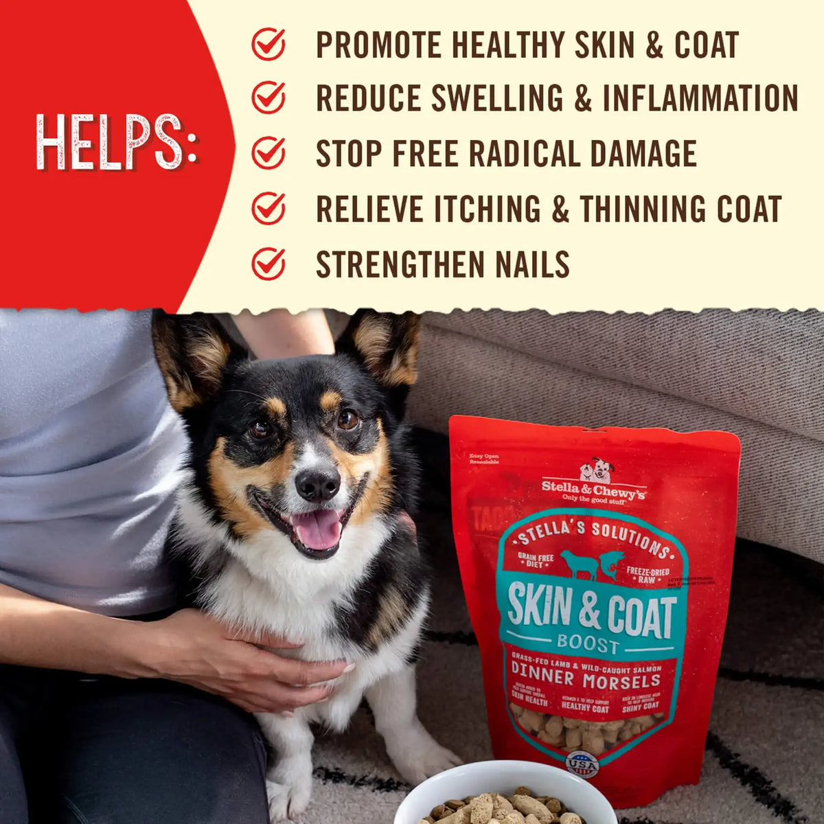 Stella &amp; Chewy&#39;s Solutions Freeze-Dried Raw Skin &amp; Coat Lamb &amp; Salmon Dog Food