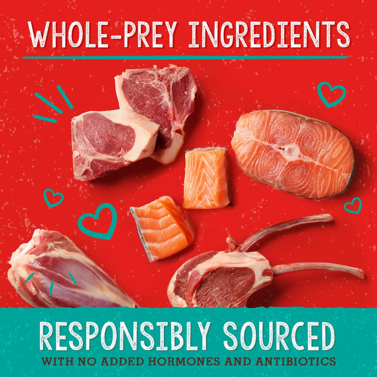 Stella &amp; Chewy&#39;s Solutions Freeze-Dried Raw Skin &amp; Coat Lamb &amp; Salmon Dog Food