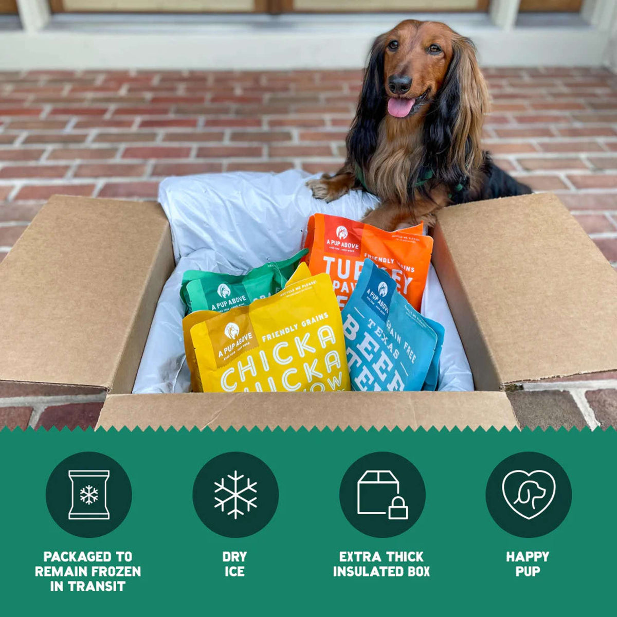 A Pup Above Grain Free Texas Beef Stew Gently Cooked Frozen Dog Food
