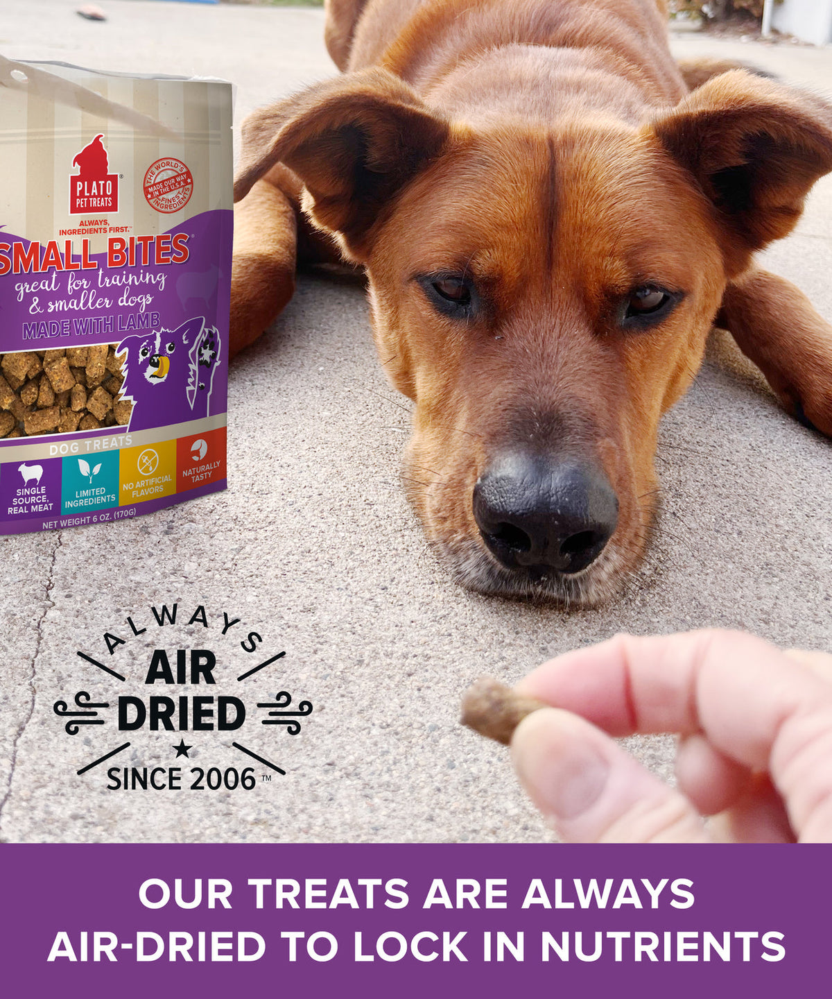 Plato Pet Treats Small Bites Lamb for Dogs