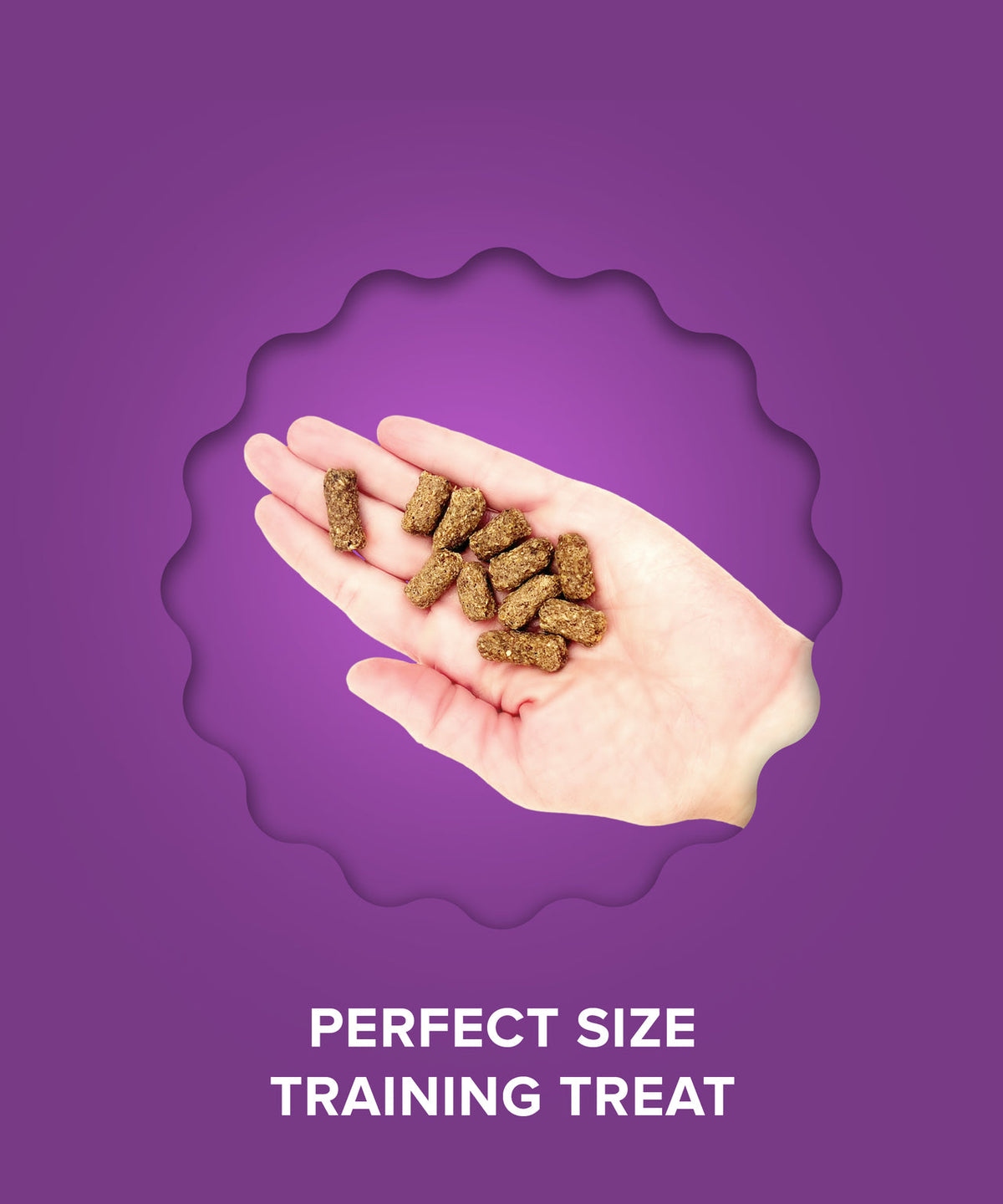 Plato Pet Treats Small Bites Lamb for Dogs
