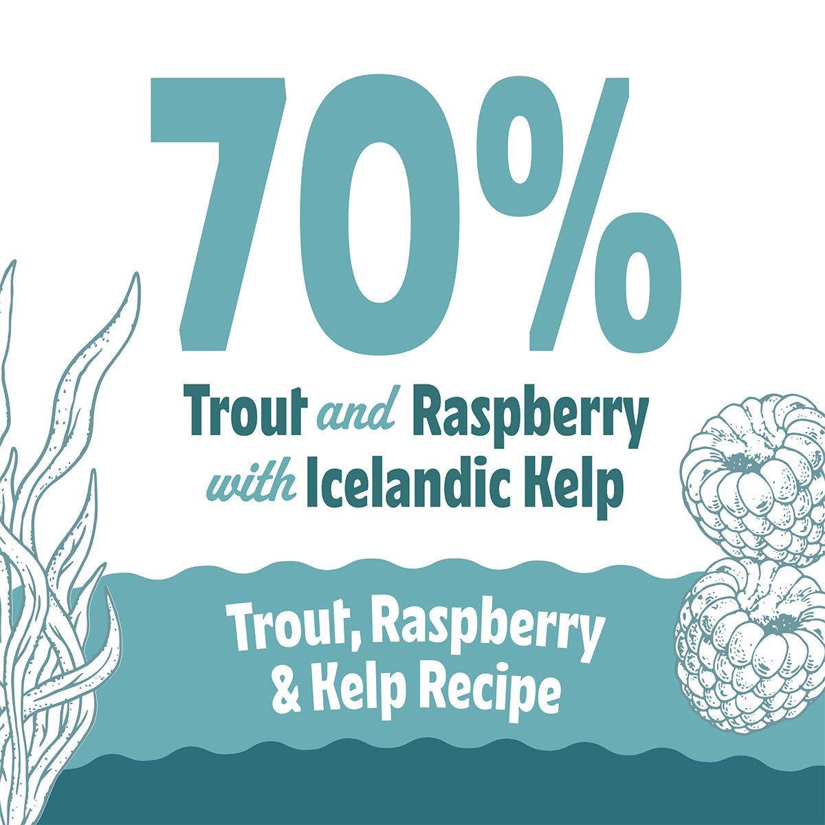 Icelandic+ Soft & Chewy Bites Trout, Raspberry & Kelp Cat Treats