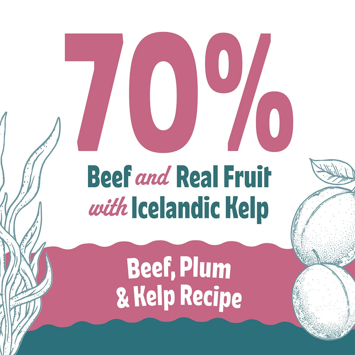 Icelandic+ Soft & Chewy Bites Beef, Plum & Kelp Dog Treats