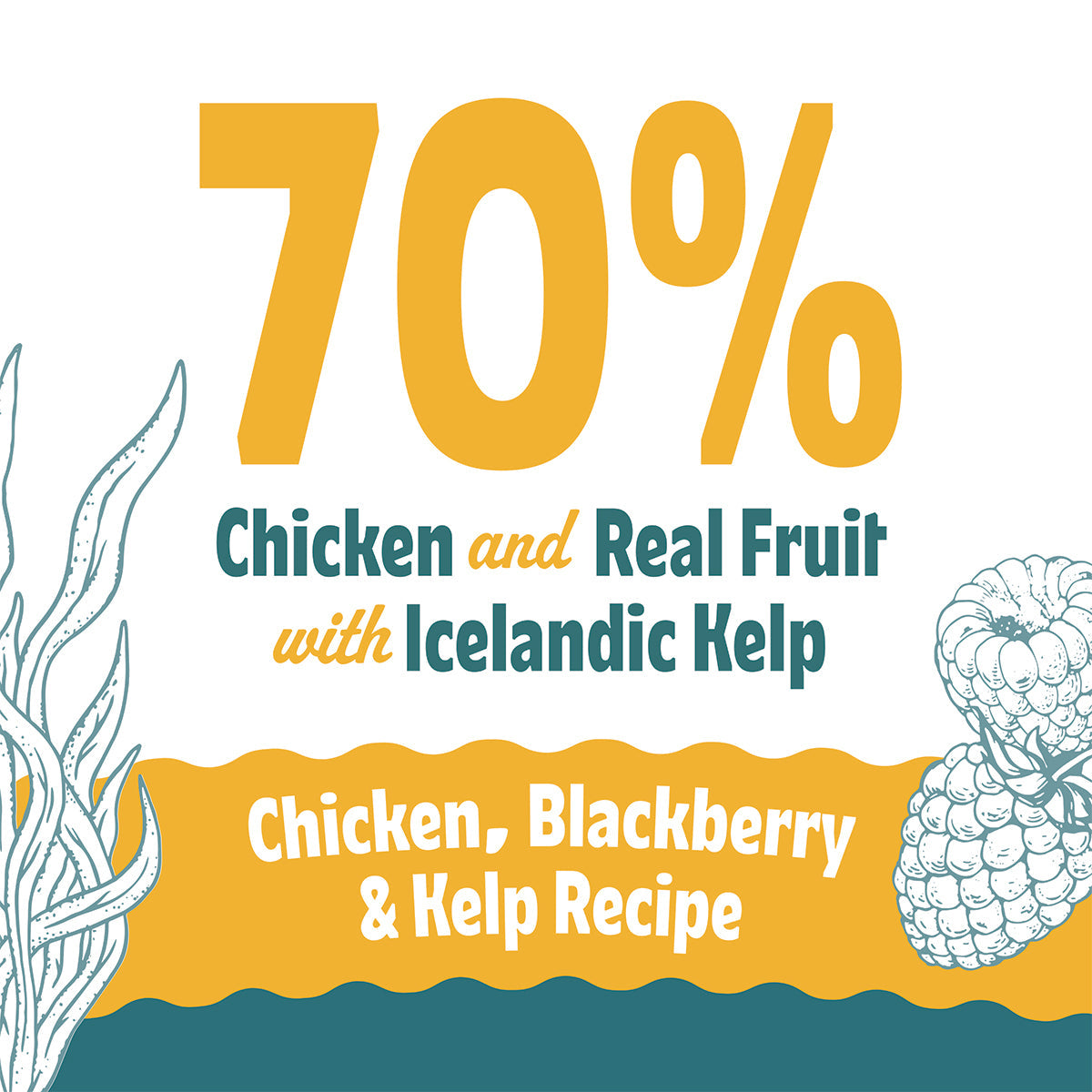 Icelandic+ Soft & Chewy Bites Chicken, Blackberry & Kelp Dog Treats