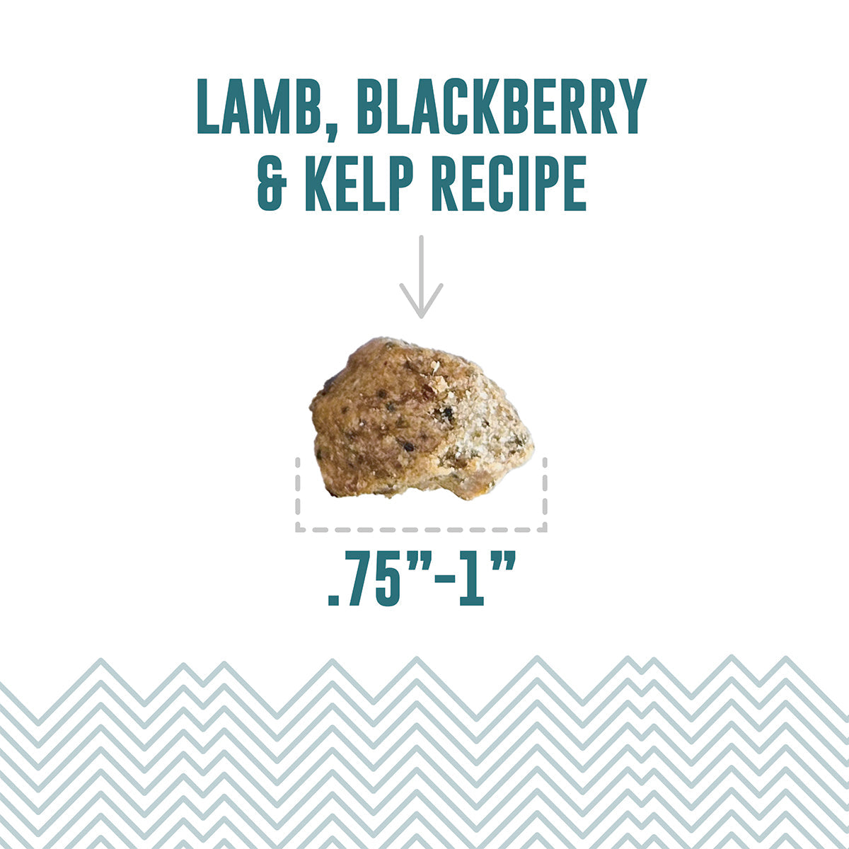 Icelandic+ Soft & Chewy Bites Lamb, Blueberry & Kelp Dog Treats