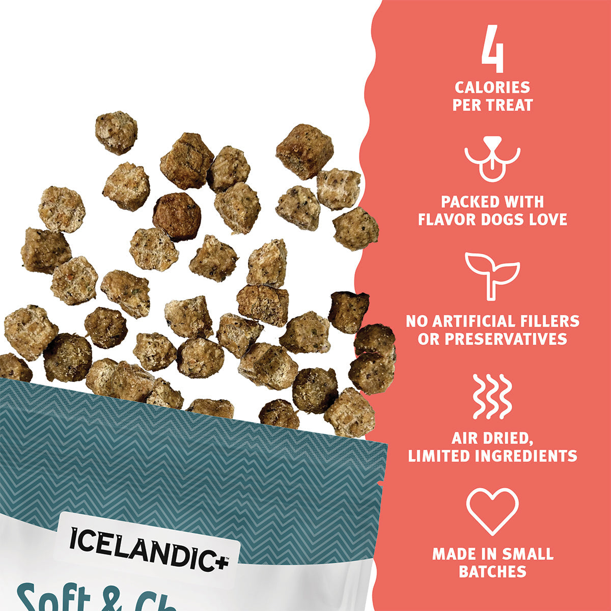 Icelandic+ Soft & Chewy Salmon, Cranberry & Kelp Dog Treats