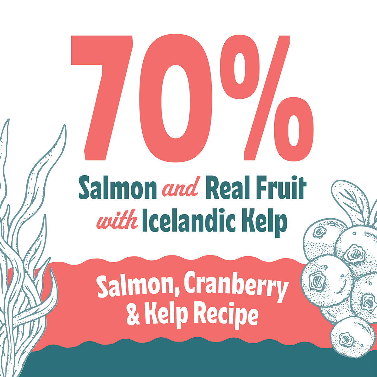 Icelandic+ Soft & Chewy Salmon, Cranberry & Kelp Dog Treats