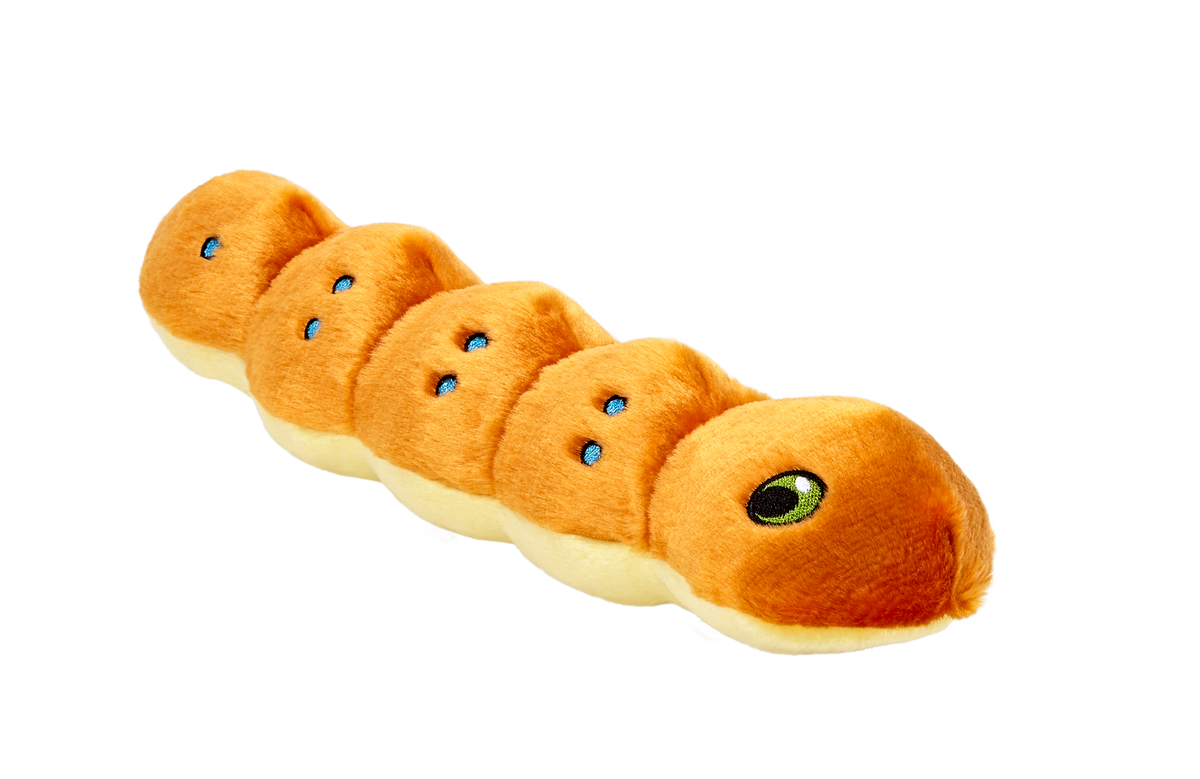 Fluff &amp; Tuff Spicy Caterpillar Dog Toy