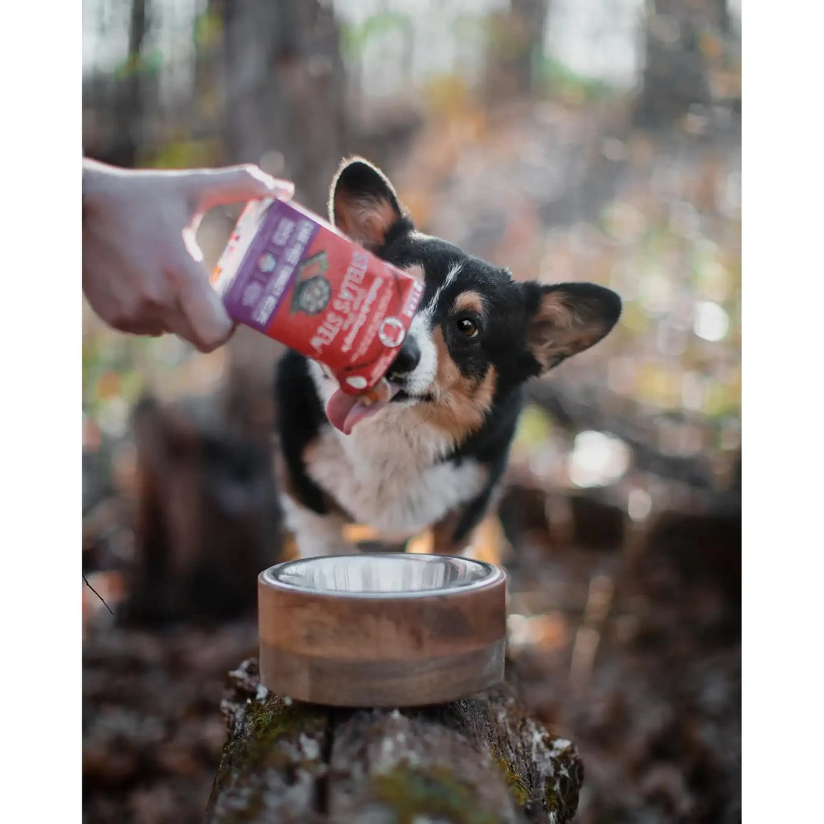 Stella &amp; Chewy&#39;s Stella&#39;s Stew Turkey Dog Food