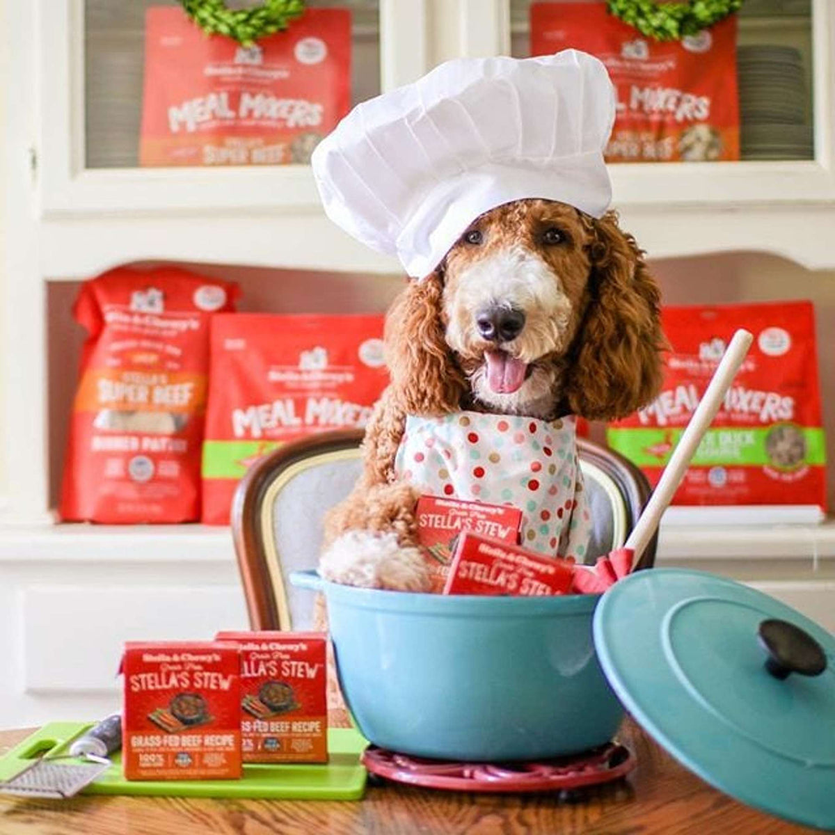 Stella &amp; Chewy&#39;s Stella&#39;s Stew Beef Dog Food