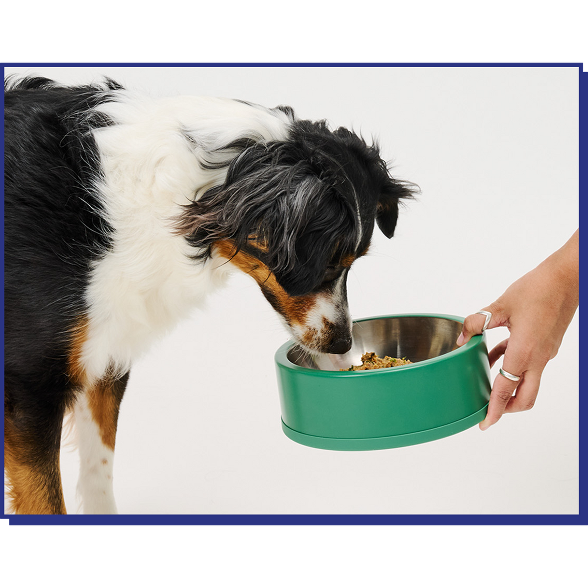 My Perfect Pet Gently Cooked Grain Free Sweetheart&#39;s Pork Blend Frozen Dog Food