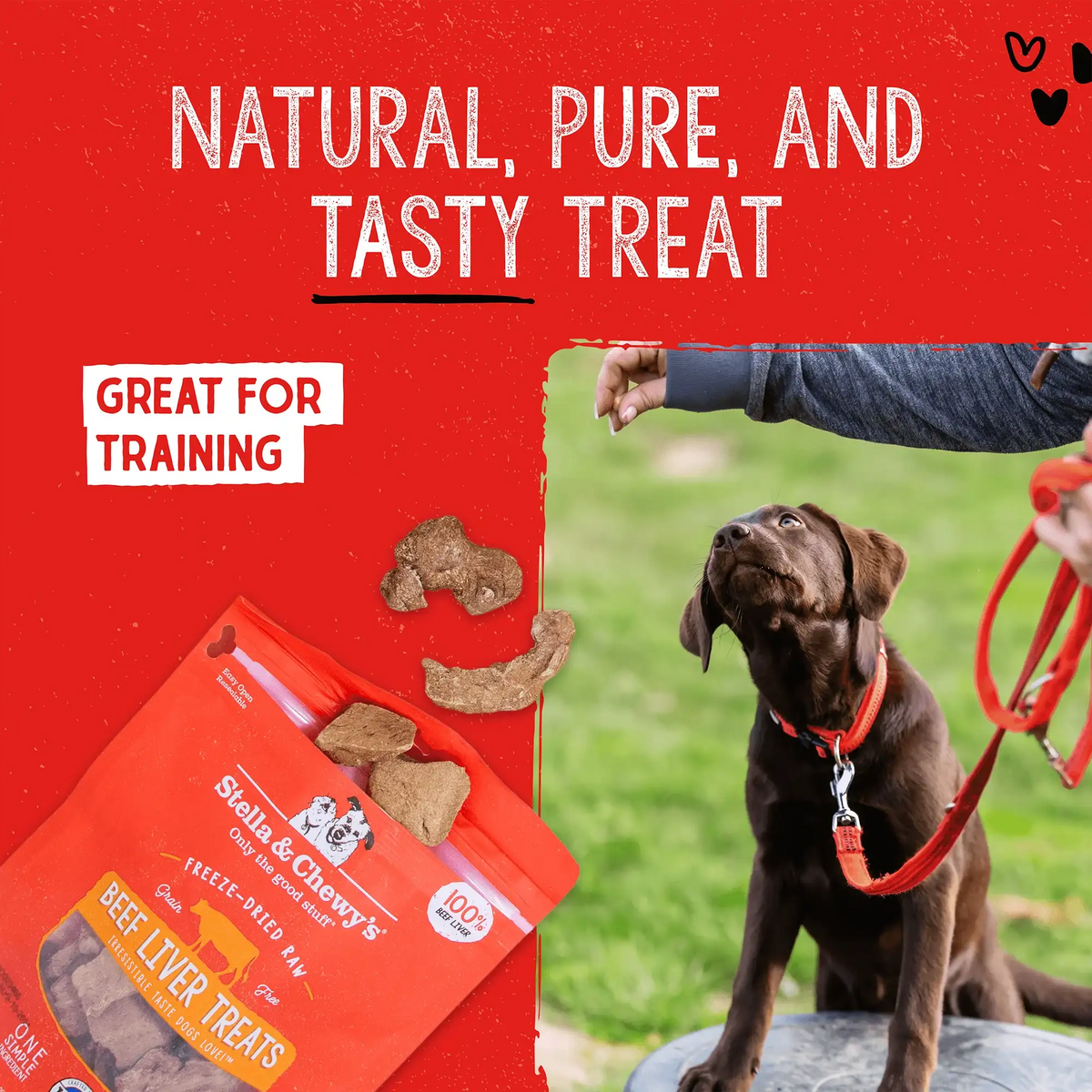 Stella &amp; Chewy&#39;s Freeze-Dried Single Ingredient Beef Liver Dog Treats