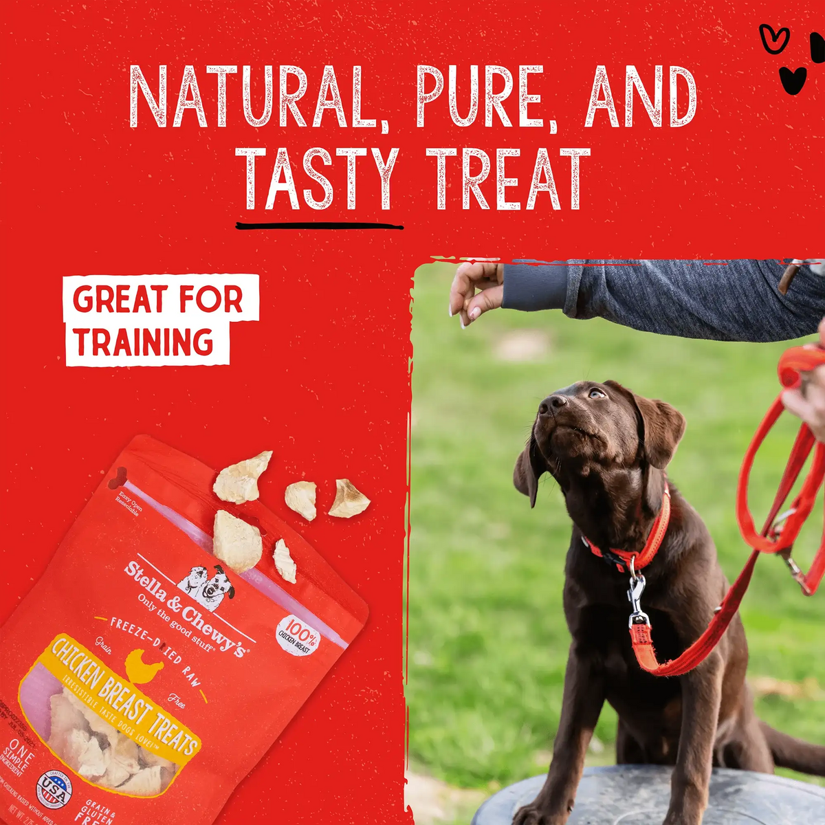 Stella &amp; Chewy&#39;s Freeze-Dried Raw Single Ingredient Chicken Breast Dog Treats