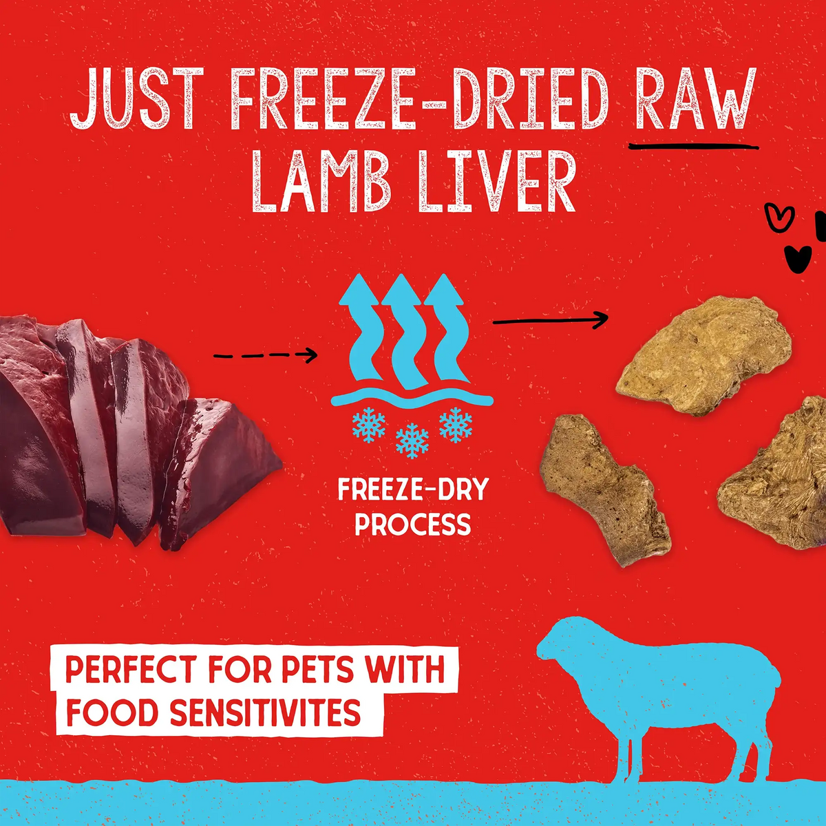 Stella &amp; Chewy&#39;s Freeze-Dried Raw Lamb Liver Dog Treats