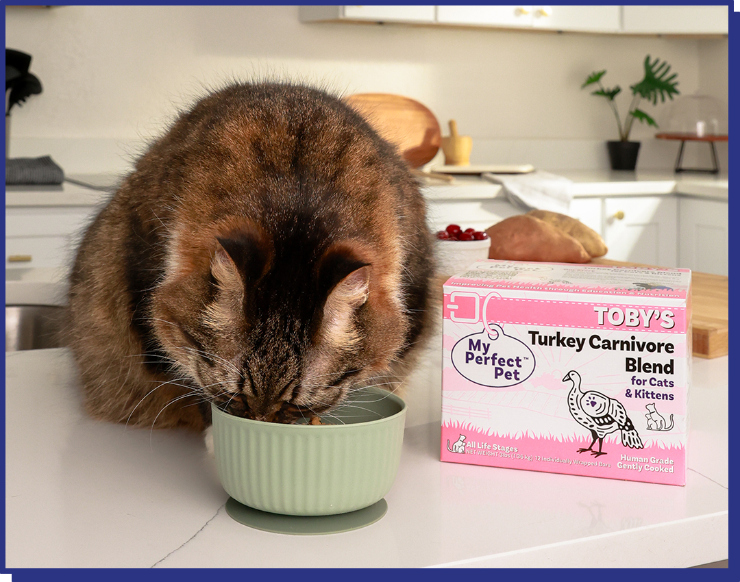 My Perfect Pet Gently Cooked Grain Free Toby&#39;s Turkey Carnivore Blend Frozen Cat Food