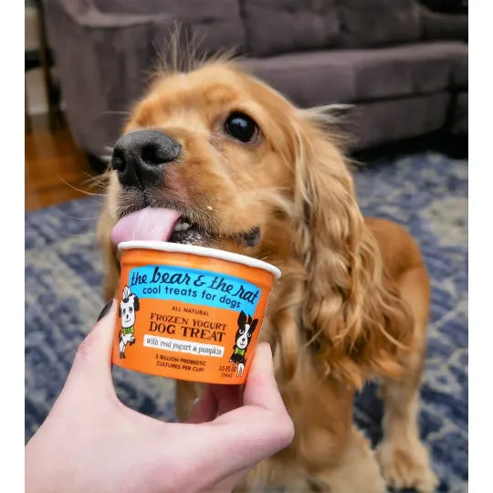 The Bear and The Rat Pumpkin and Cinnamon Yogurt