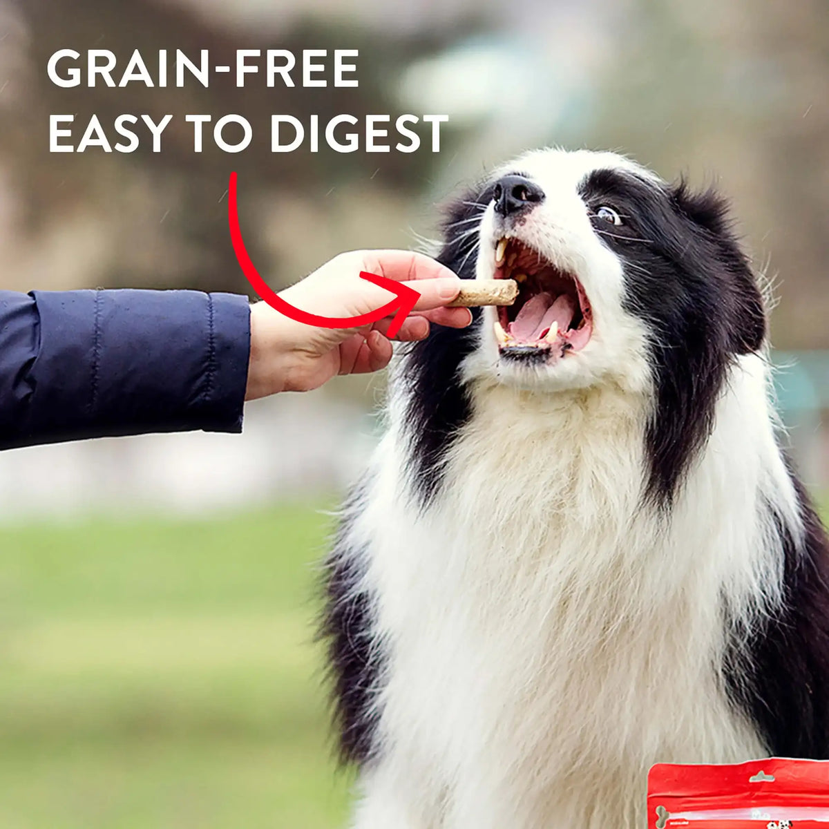 Stella &amp; Chewy&#39;s Freeze-Dried Raw Wild Weenies Beef Dog Treats