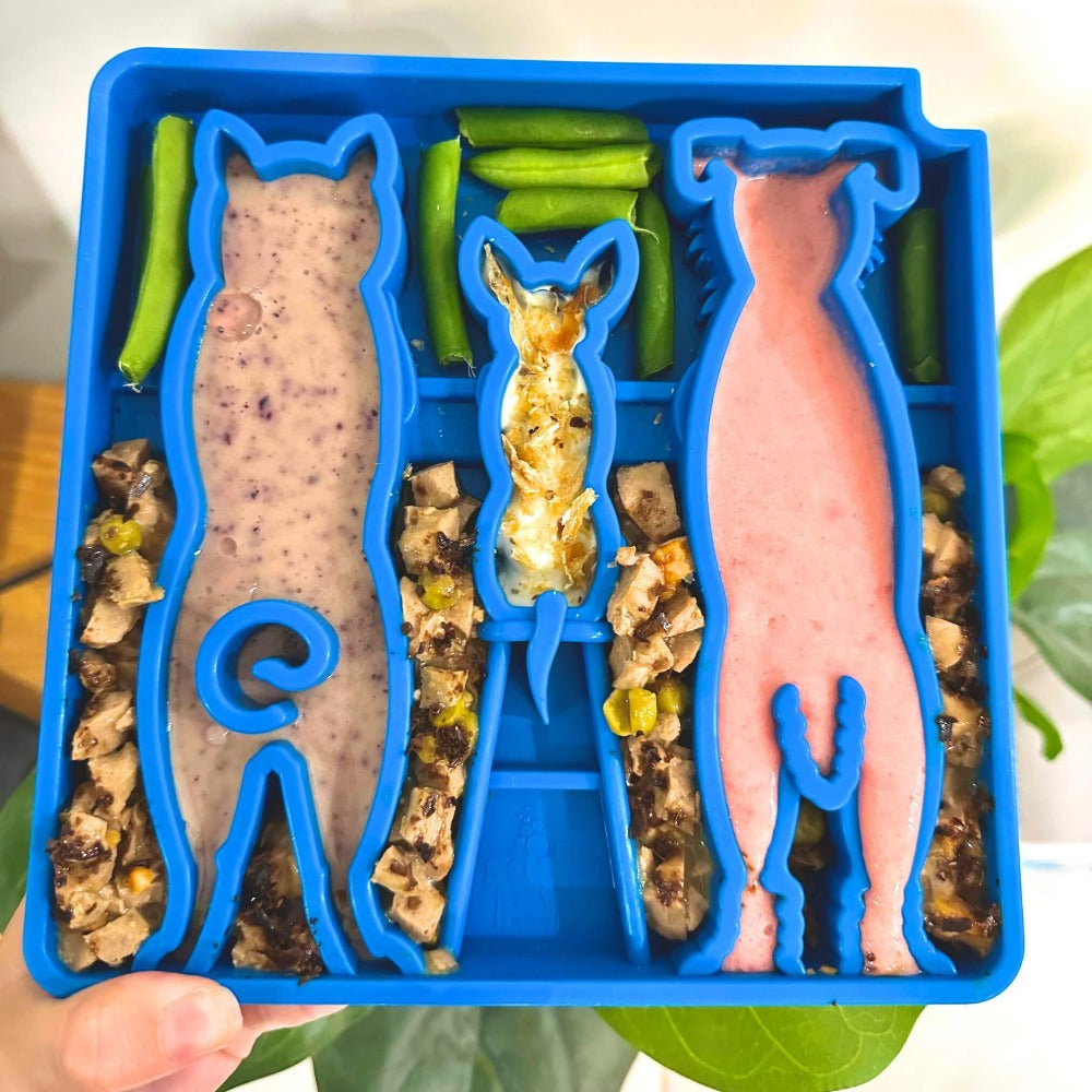 SodaPup Waiting Dogs Design eTray Enrichment Tray for Dogs
