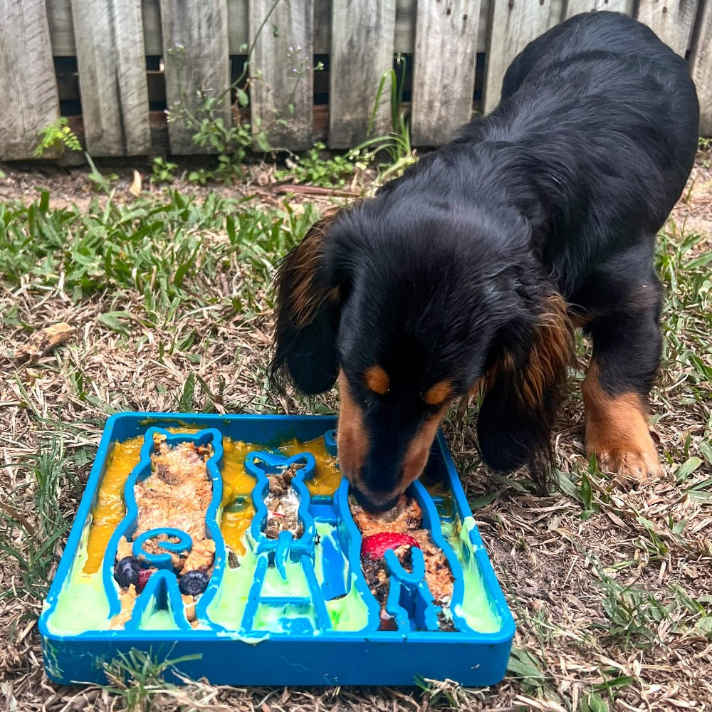 SodaPup Waiting Dogs Design eTray Enrichment Tray for Dogs