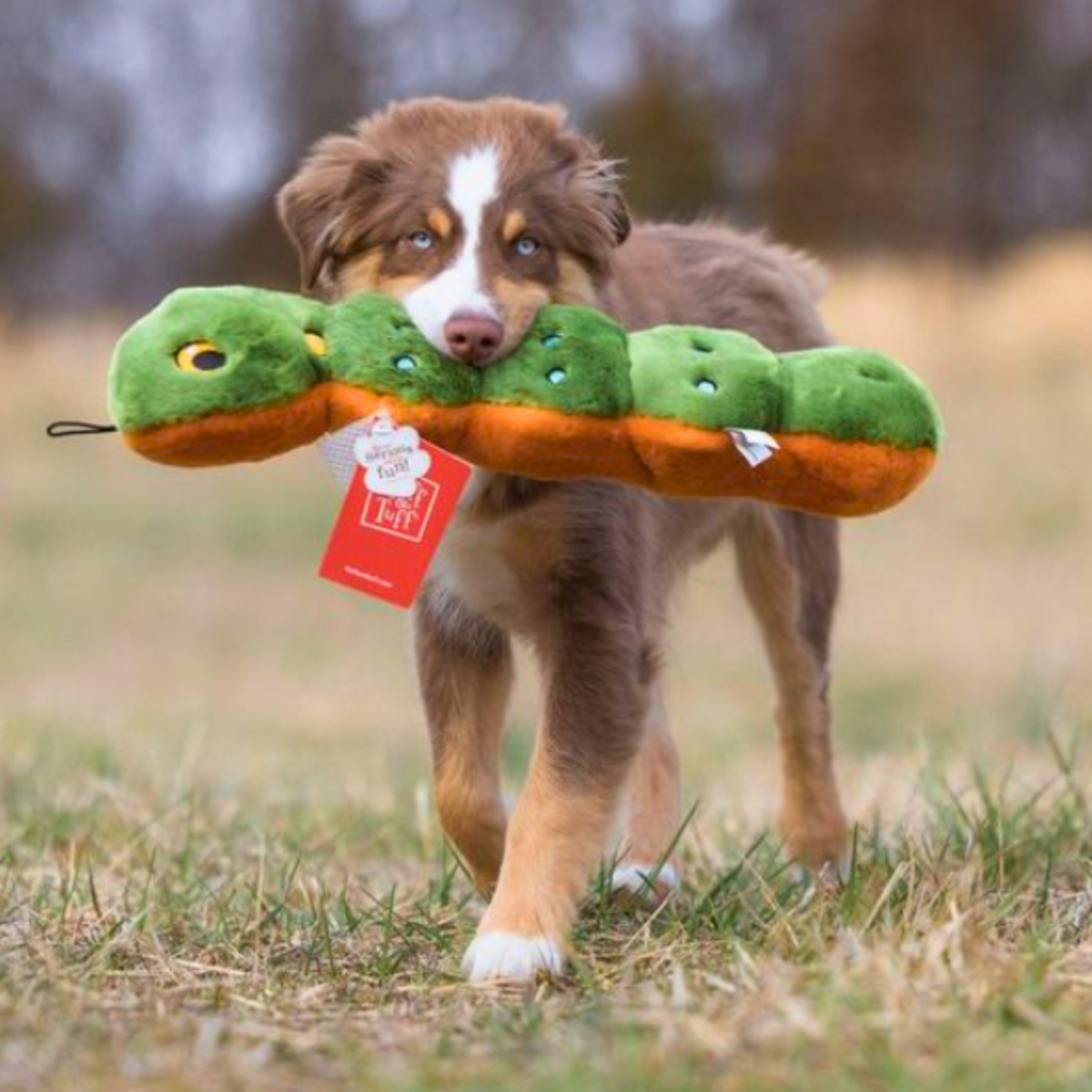 Fluff &amp; Tuff Katie Caterpillar Dog Toy
