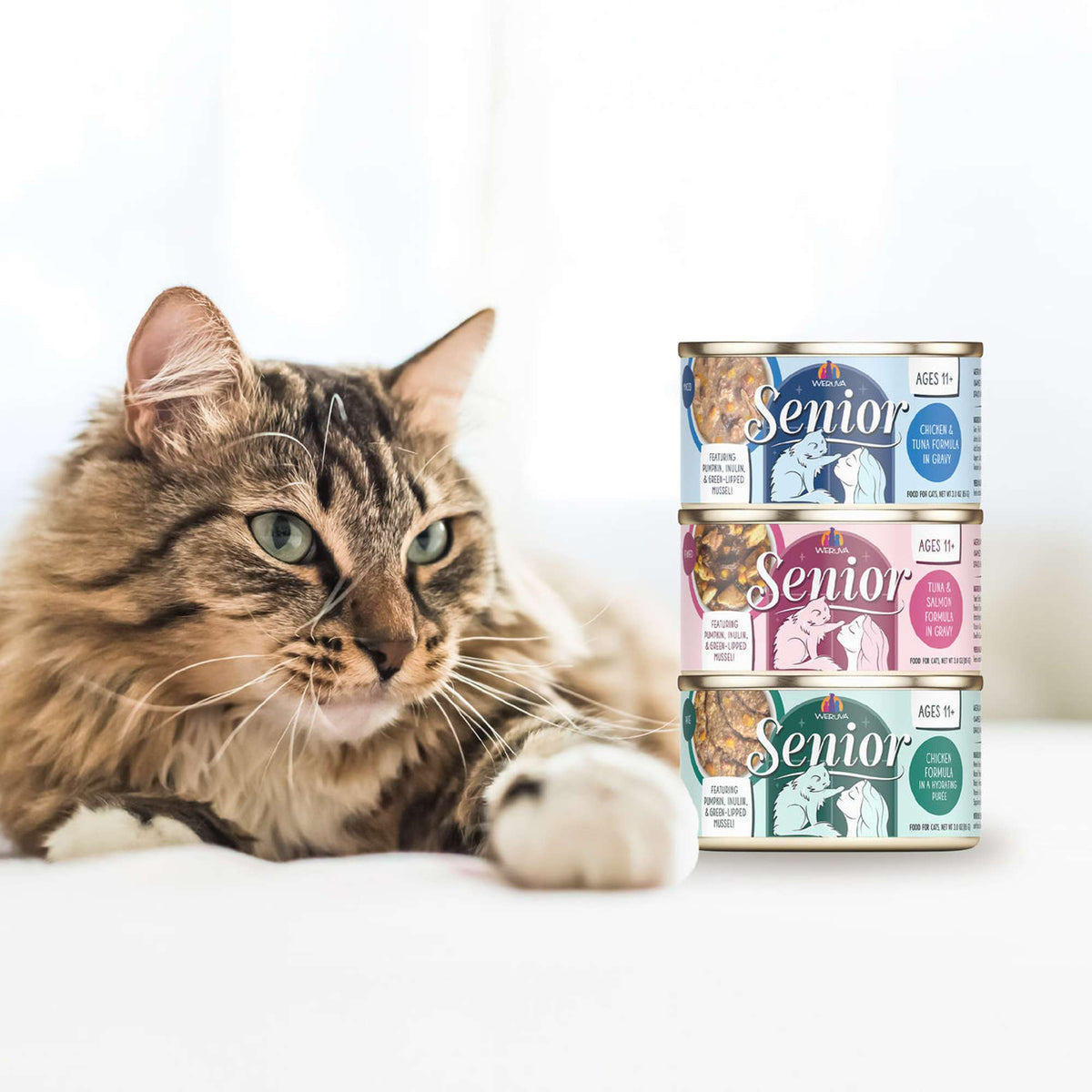 Weruva Senior Chicken &amp; Tuna Formula Canned Cat Food