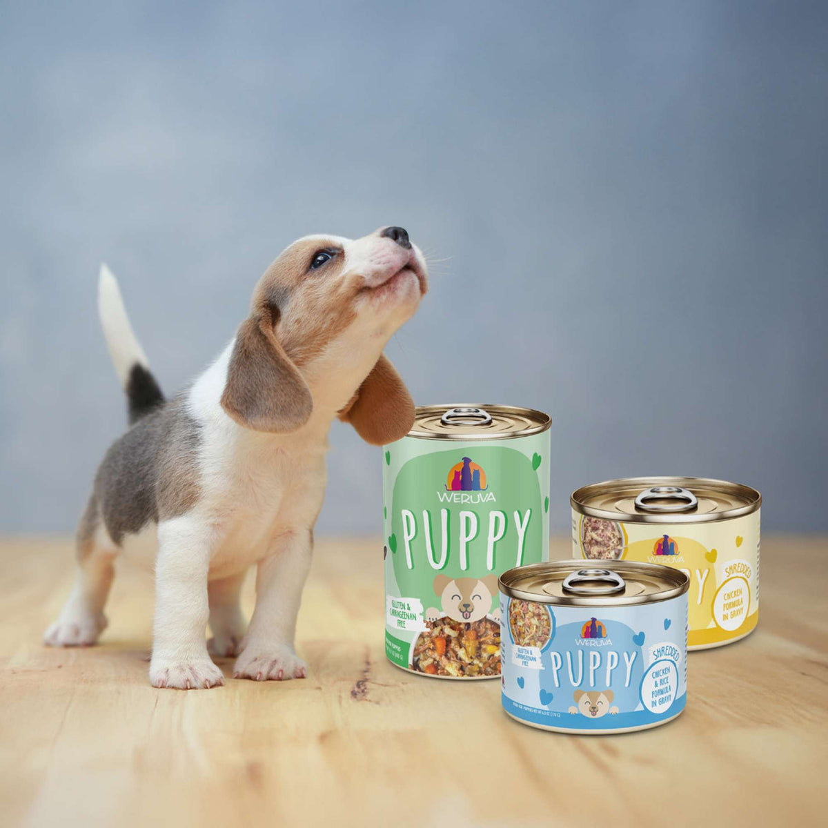 Weruva Puppy Beef &amp; Rice Formula in Gravy Canned Dog Food