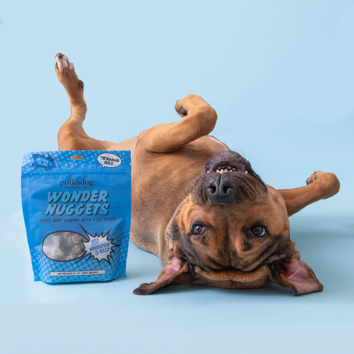 Polkadog Bakery Wonder Nuggets Soft &amp; Chewy Whitefish &amp; Kelp Dog Treats