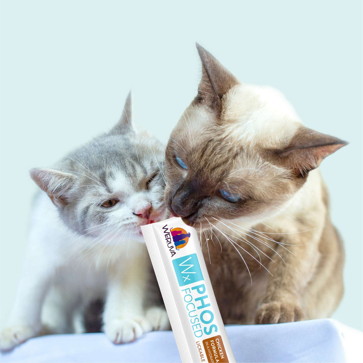 Weruva Wx Phos Focused Lickable Tuna Cat Treat