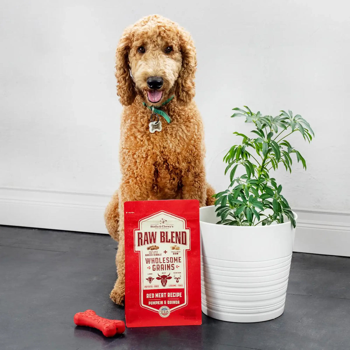 Stella &amp; Chewy&#39;s Kibble Raw Blend Wholesome Grains Kibble Red Meat Dog Food