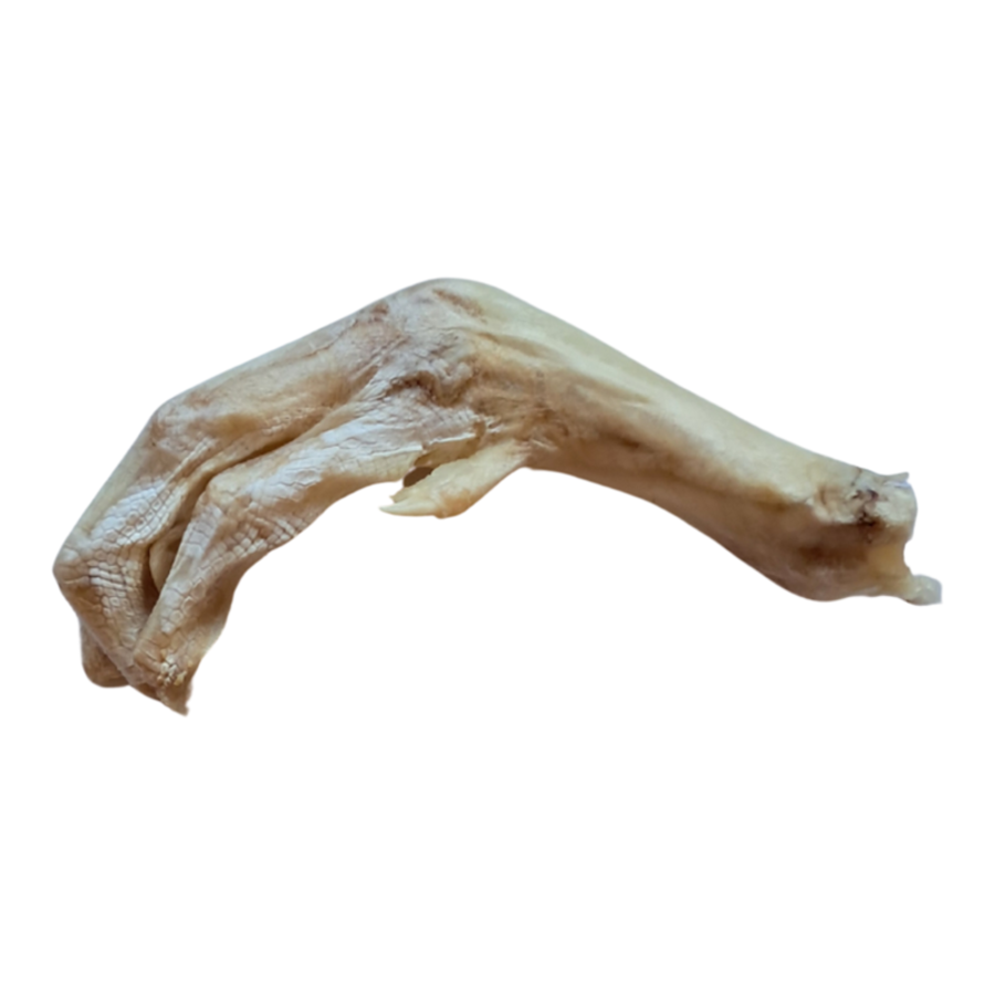 The Bones &amp; Co Freeze-Dried Raw Duck Feet Dog &amp; Cat Chews