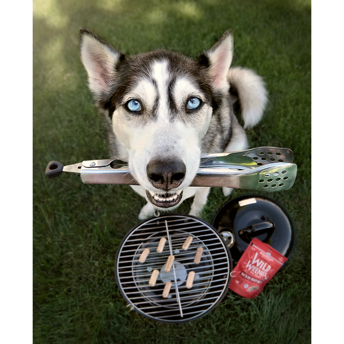 Stella &amp; Chewy&#39;s Freeze-Dried Raw Wild Weenies Bac&#39;n Me Crazy Dog Treats