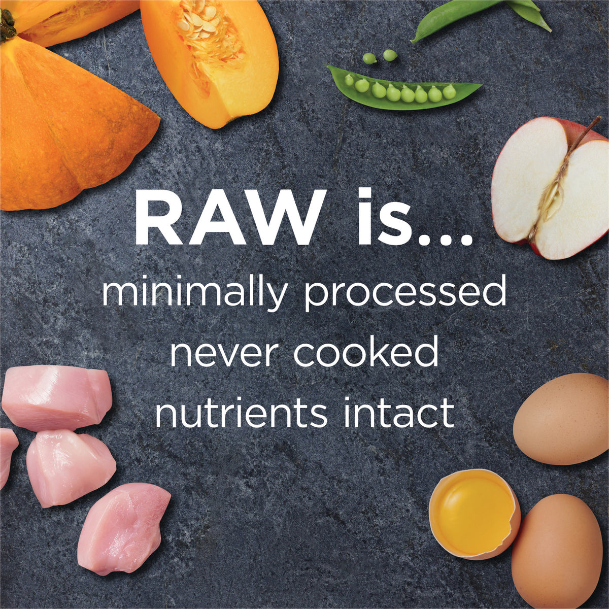 Instinct Raw Boost Gut Health Grain-Free Recipe with Real Chicken Dry Dog Food