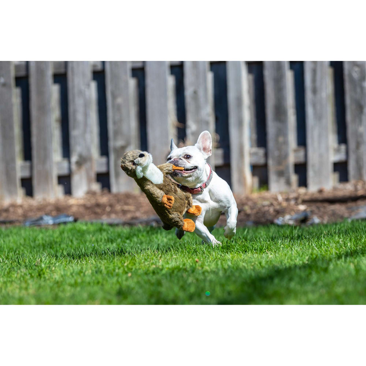 Fluff &amp; Tuff Harry Otter Dog Toy