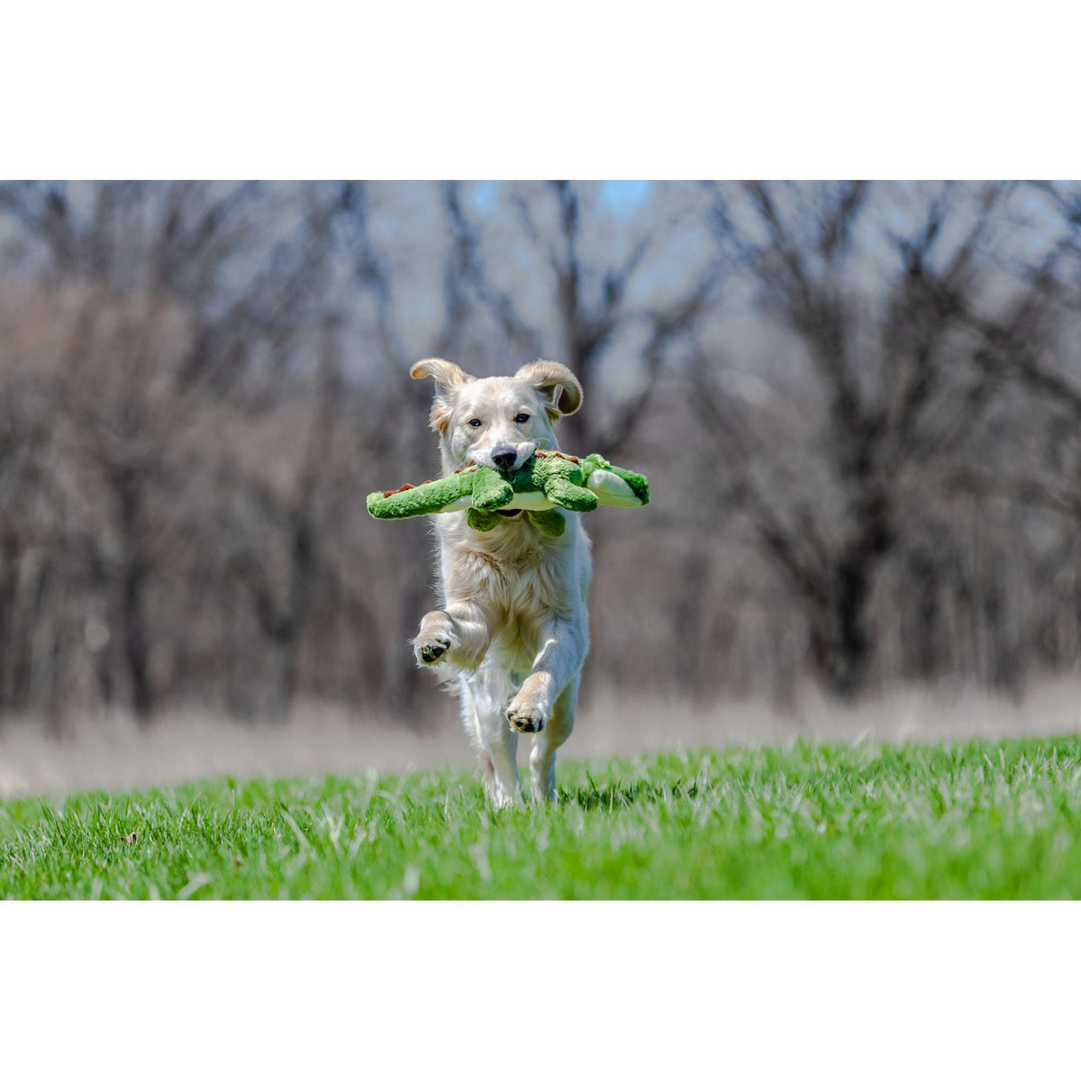 Fluff &amp; Tuff Georgia Gator Dog Toy