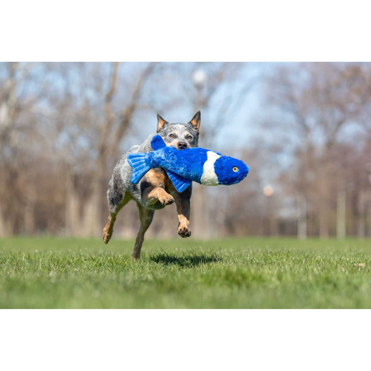 Fluff &amp; Tuff Gil Koi Dog Toy