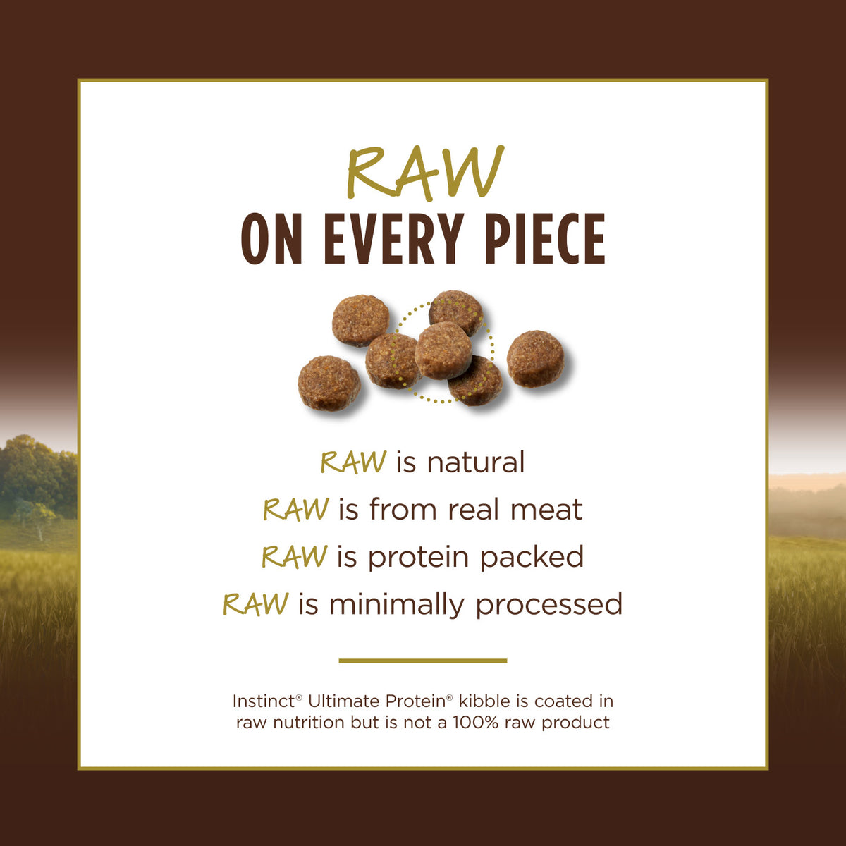 Instinct Ultimate Protein Grain-Free Cage-Free Chicken Recipe Dry Cat Food