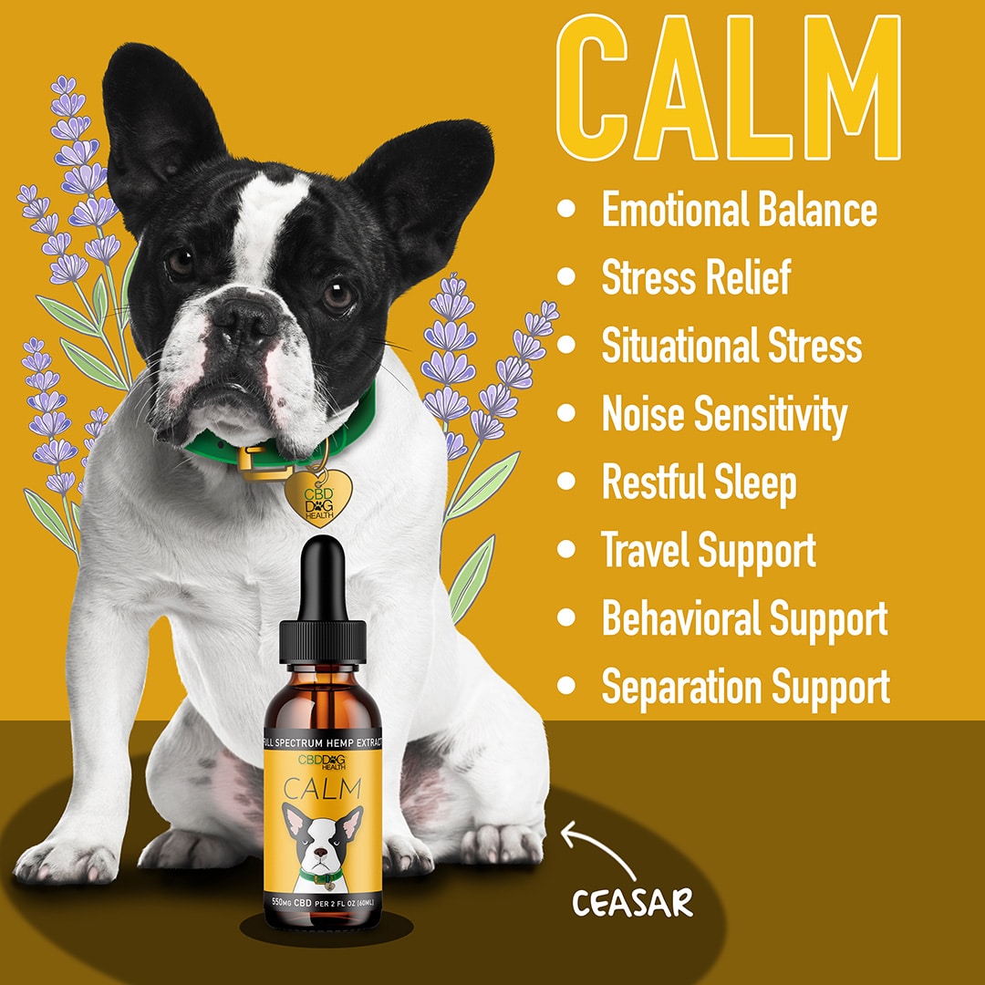 CBD Dog Health CALM CBD Oil for Dogs