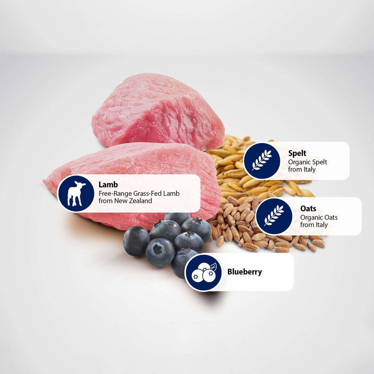 Farmina N&D Ancestral Grain Lamb & Blueberry Cat Food