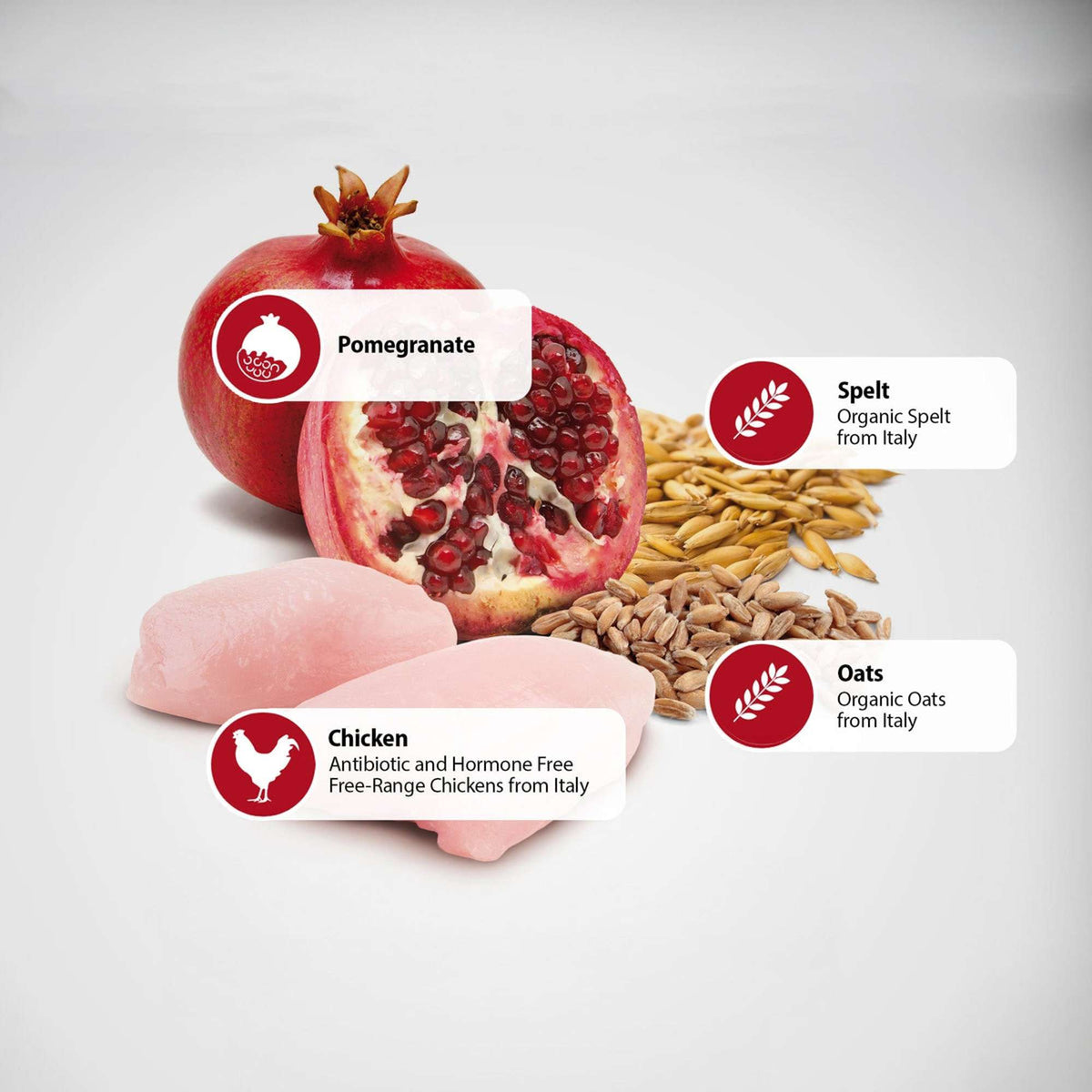 Farmina N&D Ancestral Grain Chicken & Pomegranate Neutered Cat Food