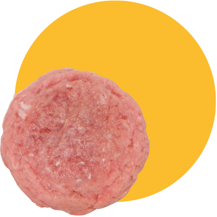 Small Batch Base Blend Chicken Frozen Dog &amp; Cat Food